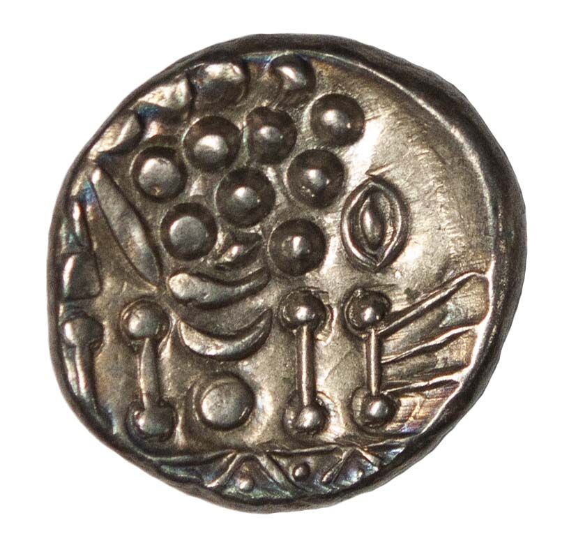 Cantiaci Crown Of The Rose